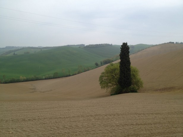 Via Francigena