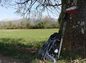 Via Francigena break