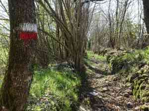 Via Francigena CAI sign