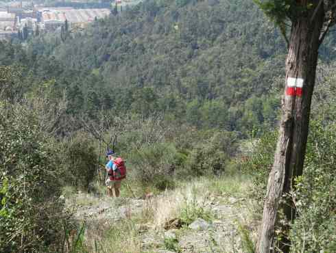 Via Francigena down hill