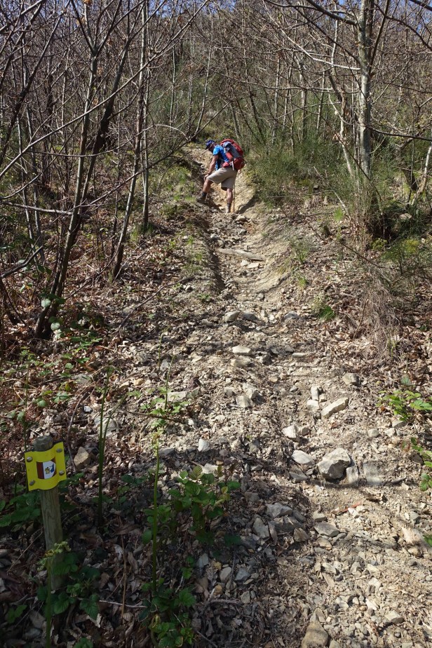 Via de la Plata Tuscany