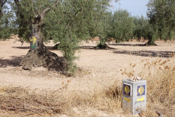via de la plata. extremadura