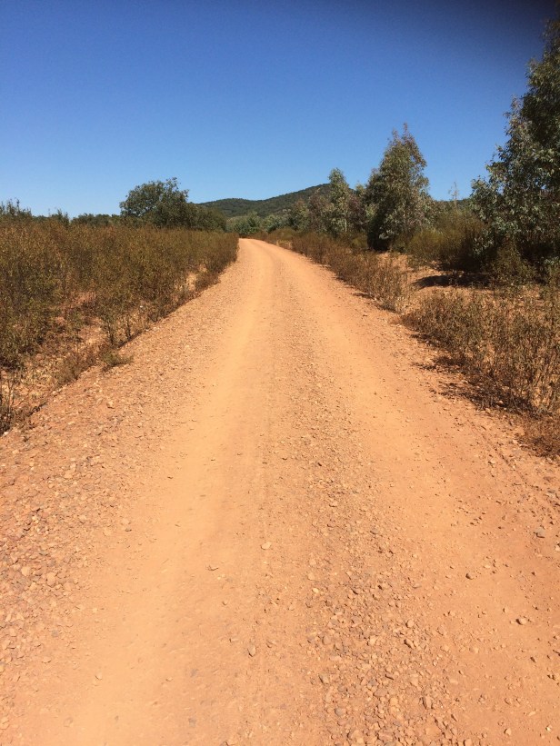 Via de  la Plata Alcuescar