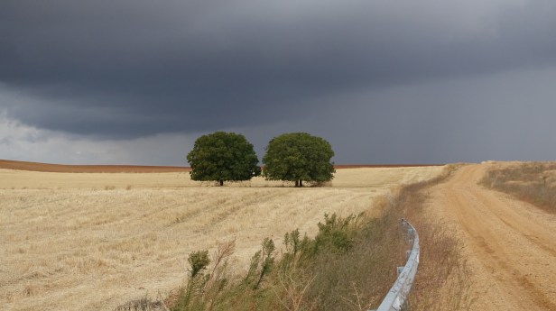 via de la  plata granja