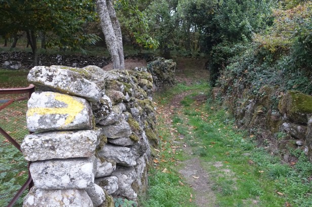 Camino Sanabrés Vilar de Barrio 