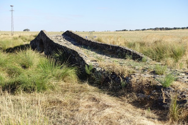 via de la plata  alcuescar