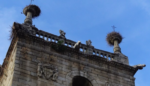 stork nests via de la plata