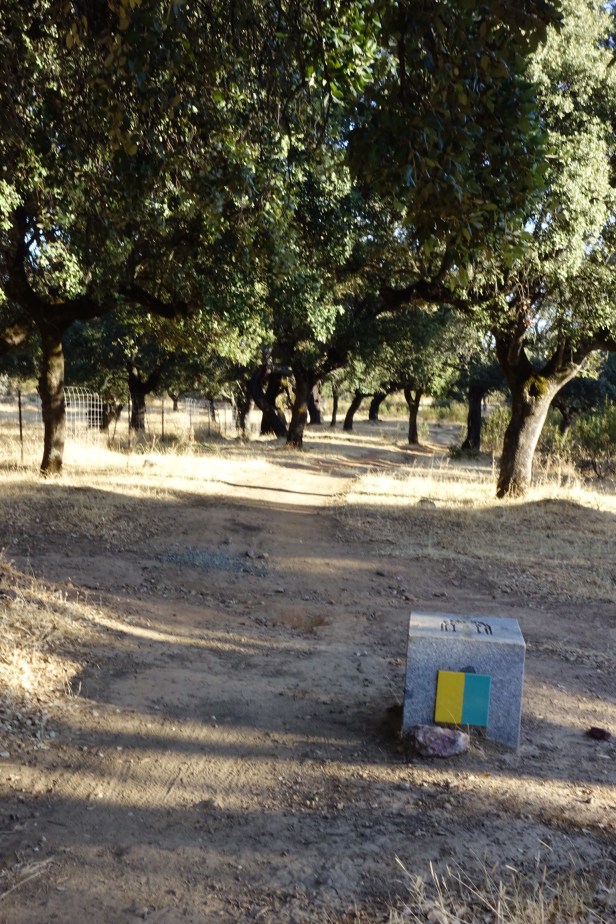 Galisteo via de la plata