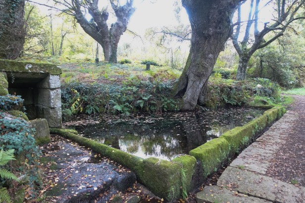 Via Sanabrés Camino Vilar de Barrio