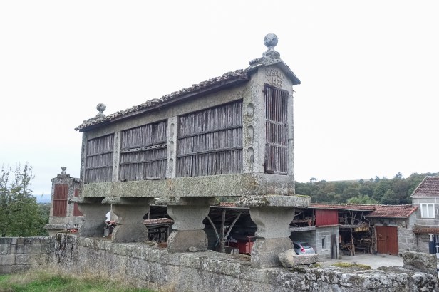 Via Sanabrés Camino Hórreo