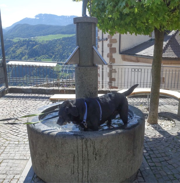 Via romea germanica alto adige