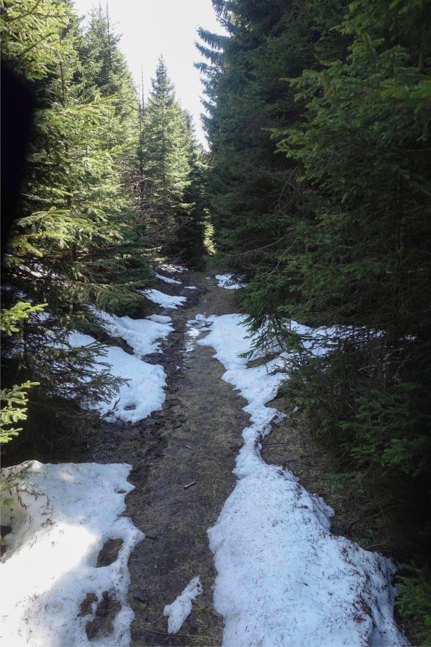 Via romea Germanica Brenner pass