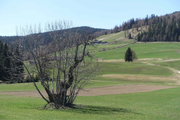  Via Romea Germanica Austria 