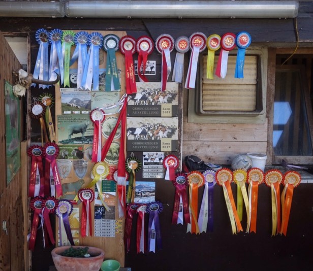 Via Romea Germanica Austria 