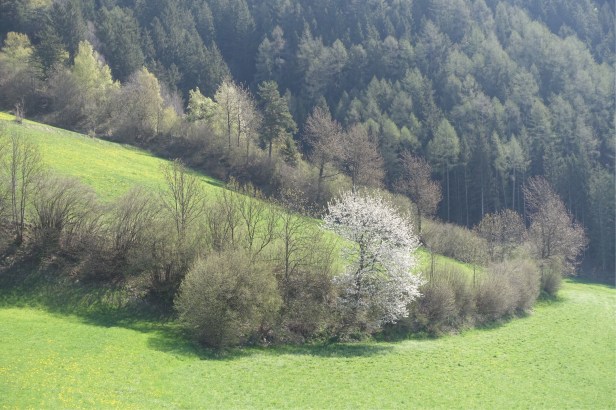 Via Romea Germanica italy Vipiteno