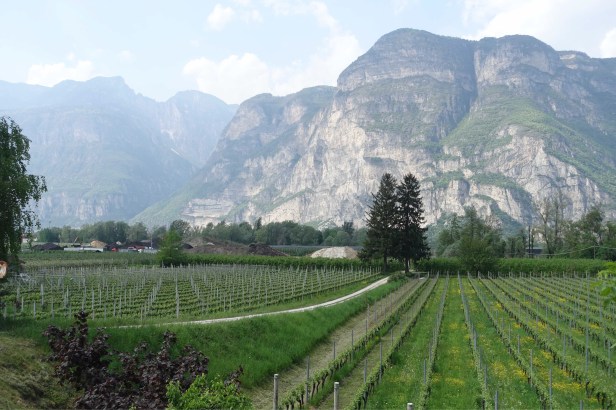 Via Romea Germanica Alto Adige