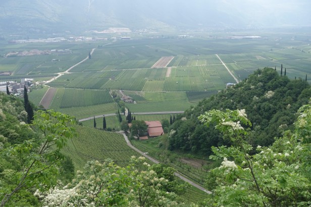 Alto Adige via Romea Germanica