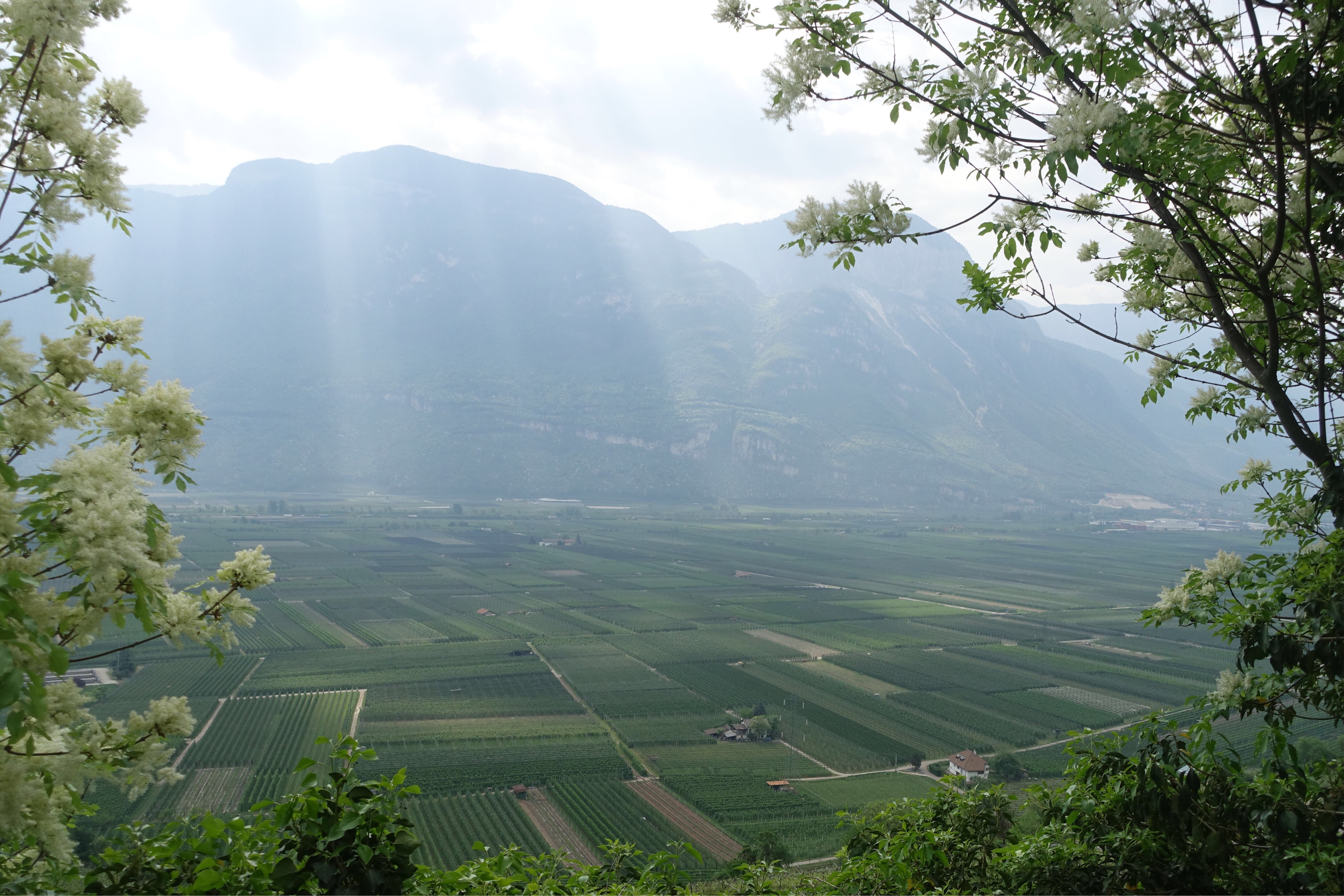 Via Romea Germanica Alto Adige
