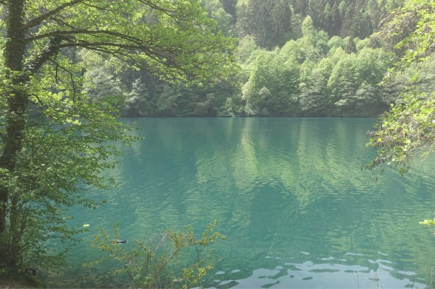 Vía Romea Germanica Trento 