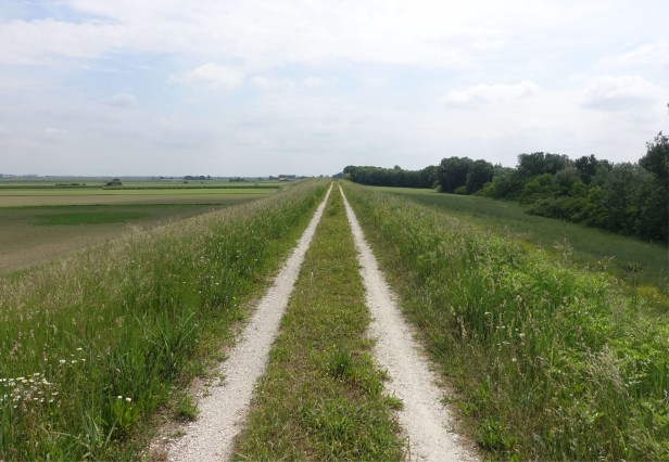 Via Romea Germanica Emilia Romagna