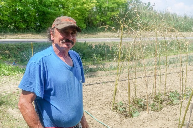 Via Romea Germanica Forlì