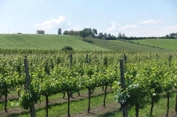 Via Romea Germanica italy Forlì