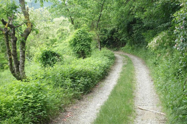 Via romea germanica cusercoli