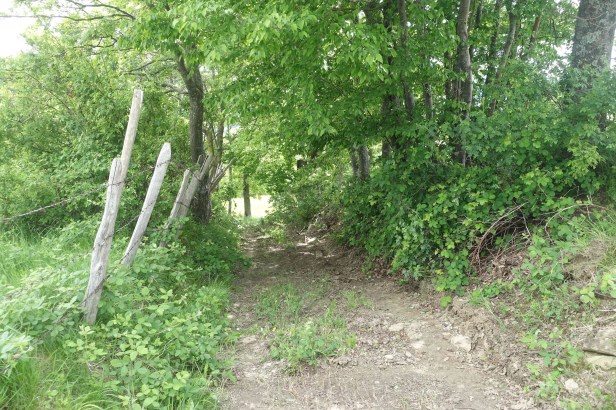 Via romea Germanica bagno Romagna