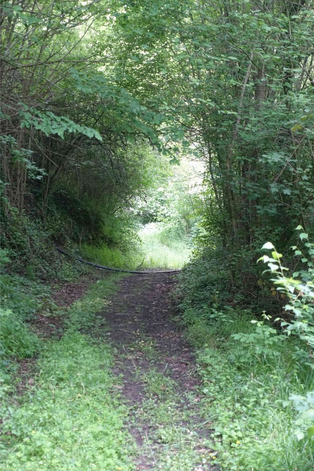 Via Romea Germanica Chitignano