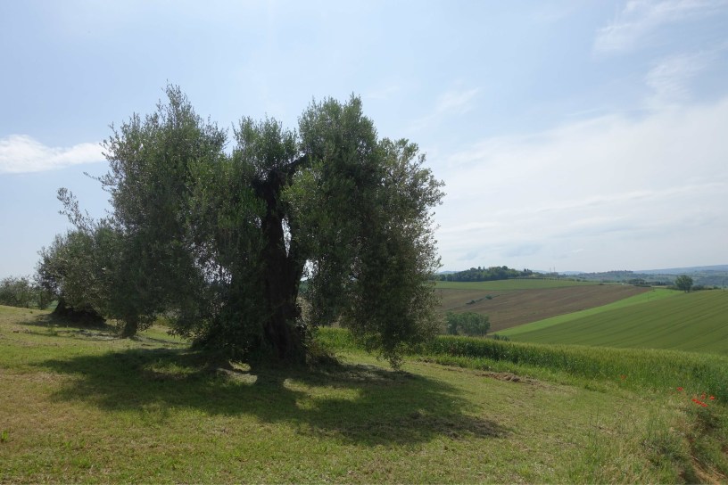 Via romea Germanica Pozzuolo