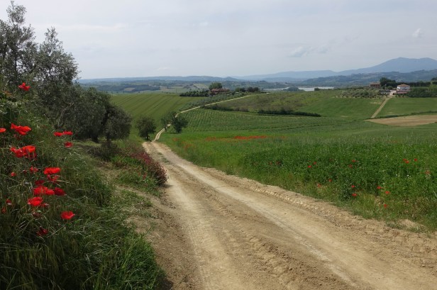 Via Romea Germanica Umbria 
