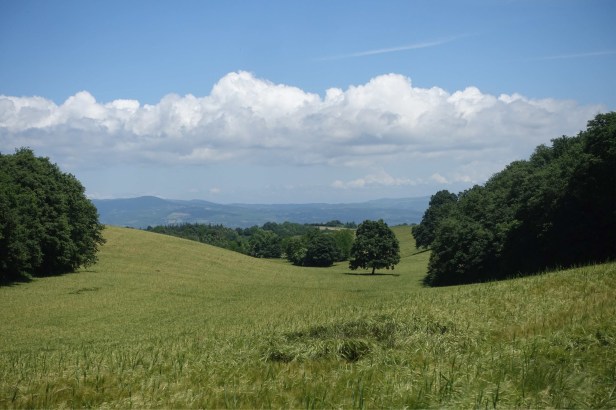 Via Romea Germanica Orvieto