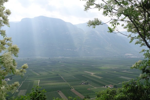 Via Romea Germanica Alto Adige 